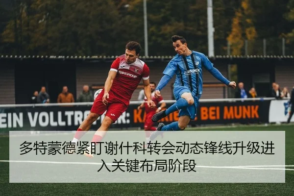 多特蒙德紧盯谢什科转会动态锋线升级进入关键布局阶段
